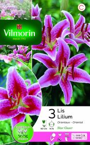 Lys Stargazer (x3)